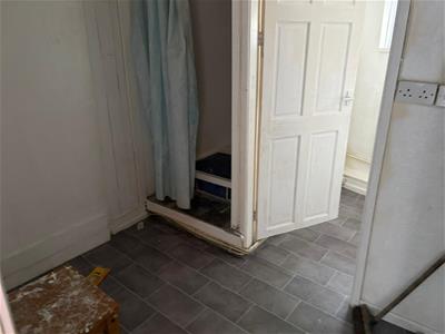 Picture 5